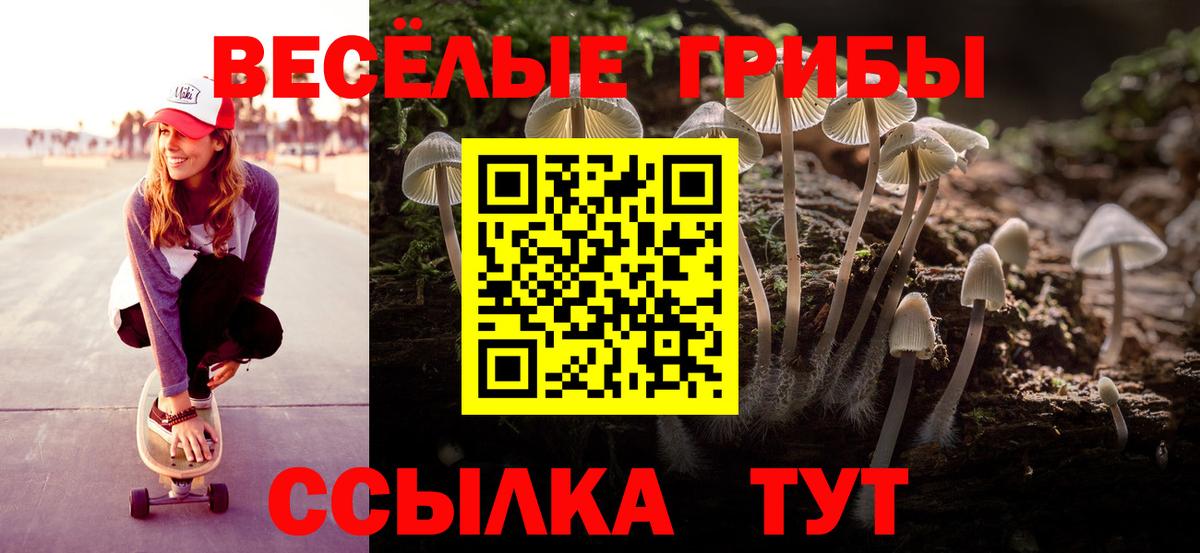 Жигулёвск  Галлюциногенные грибы GOLDEN TEACHER  Псилоцибиновые грибы мухоморы  Вход с VPN 